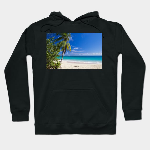 Caribbean Beach With Palm Hoodie by cinema4design